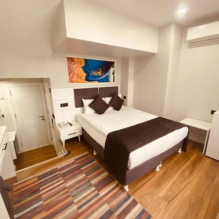 Hodegon 伊斯坦布尔