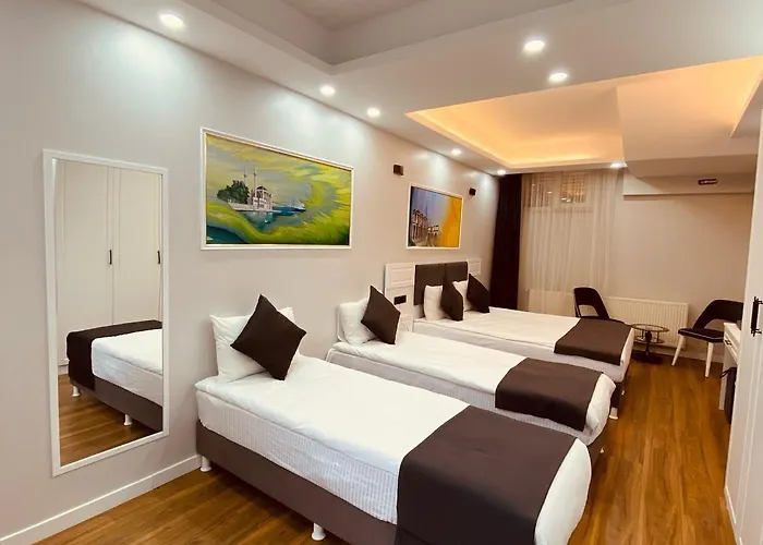 Hotel Hodegon Istanboel