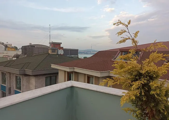 Hotel Hodegon Istanboel